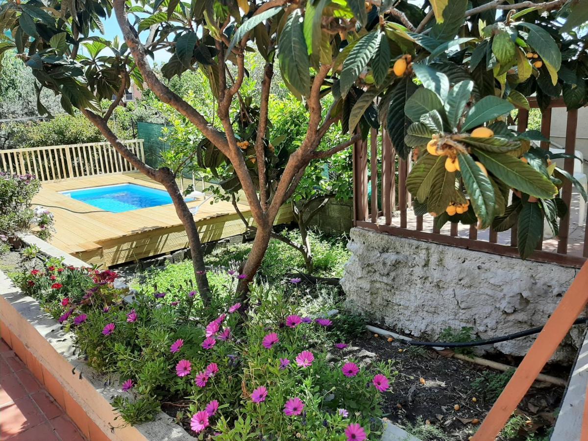 Carrubo - Giardino In Citta